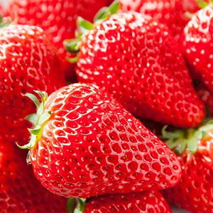 ؕc   9cm|bg1c _ѐYȕio^io^ԍ 20810