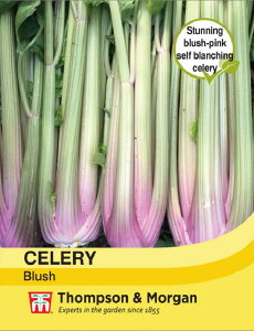 yqzThompson & Morgan Celery 'Blush' Z 'ubV'gv\[K