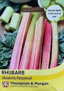 yqzThompson & Morgan Rhubarb 'Glaskin's Perpetual' o[u 'OXLYEp[y`A' gv\[K