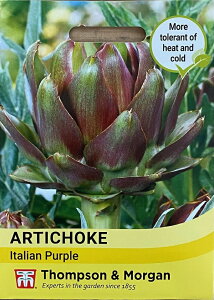 yqzThompson & Morgan Artichoke 'Italian Purple' A[eB`[N C^AEp[v gv\[K