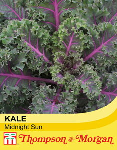 yqzThompson & MorganKale 'Midnight Sun' P[ ~bhiCg T gv\[K