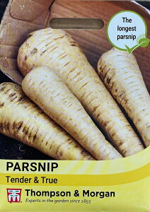 �y��q�zThompson & Morgan Parsnip 'Tender and True' �p�[�X�j�b�v '�e���_�[�E�A���h�E�g�D���[' �g���v�\�������[�K��