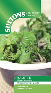��؎�q Suttons Seeds Kalette 'Flower Sprout Mix' �P���b�c '�t�����[�X�v���E�g�~�b�N�X' �T�b�g���Y�V�[�h