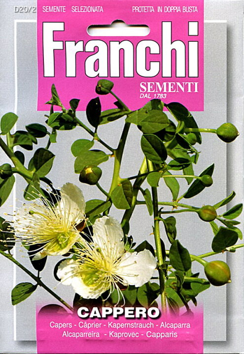 楽天市場 輸入種子 Franchi Sementi Capperoケッパーフランチ社 Ivy