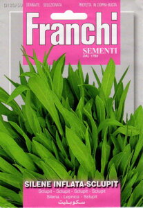 ��؎�q FRANCHI SEMENTI SILENE INFLATA-SCLUPIT �X�g���h�[�� �t�����`��