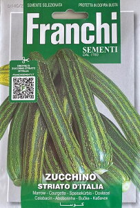 ��؎�q FRANCHI SEMENTI ZUCCHINO STRIATO D'ITALIA �Y�b�L�[�j �X�g���A�[�g�E�f�B�^���A �t�����`��