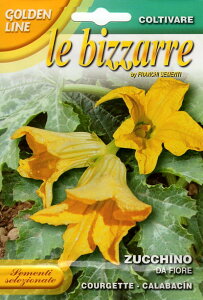 yqzFRANCHI SEMENTI GOLDENLINE ZUCCHINO DA FIORE S[fC ԃYbL[j t`