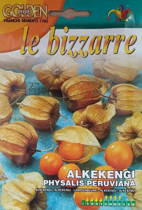 楽天市場 輸入種子 Franchi Sementi Golden Line Le Bizzarrealkekengi Physalis食用ホオズキ フランチ社 Ivy