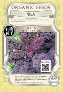 yL@qzԃP[iJ[[^Cv/ԗtj O[tB[hvWFNg̃^l