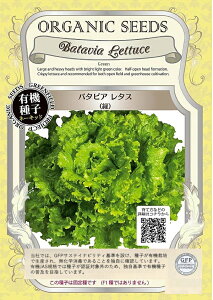 yL@qzo^rA ^Xi΁jO[tB[hvWFNg̃^l