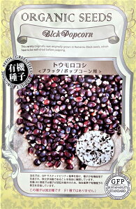 �L�@��q �g�E�����R�V���u���b�N/�|�b�v�R�[���p�� �O���[���t�B�[���h�v���W�F�N�g�̃^�l