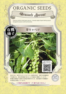 yL@qzLxc O[tB[hvWFNg̃^l