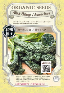 L@q J[{l Lxc O[tB[hvWFNg̃^l