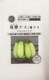自然農法の種 翡翠ナス/青ナス グリーンフィールドプロジェクトのタネ
