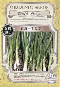 yL@qzΑq{˂ O[tB[hvWFNg̃^l