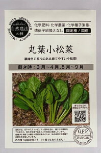 yR_@̎zۗt O[tB[hvWFNg̃^l