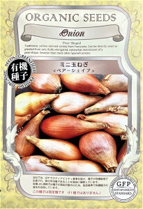 �L�@��q �~�j�ʂ˂����y�A�[�V�F�C�v�� �O���[���t�B�[���h�v���W�F�N�g�̃^�l