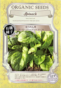 yL@qzق񑐁iA[[ WCAg [tjO[tB[hvWFNg̃^l