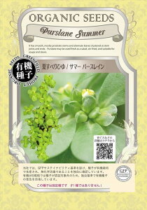 yL@qzĂׂЂ/T}[ p[XC O[tB[hvWFNg̃^l