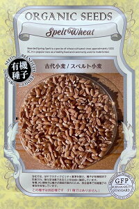 L@q Ñ㏬/Xyg O[tB[hvWFNg̃^l