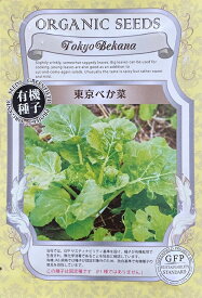 【有機種子】東京べか菜 グリーンフィールドプロジェクトのタネ