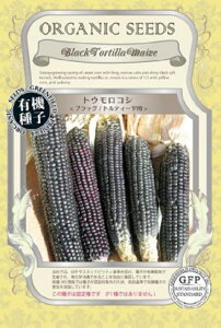 �L�@��q �g�E�����R�V�^�u���b�N�^�g���e�B�[���p �O���[���t�B�[���h�v���W�F�N�g�̃^�l