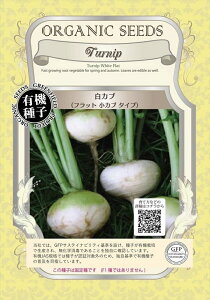 【有機種子】白カブ(フラット 小カブ タイプ)グリーンフィールドプロジェクトのタネ