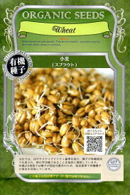 【有機種子】小麦（スプラウト）グリーンフィールドプロジェクトのタネ