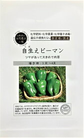 自然農法の種 自生えピーマン グリーンフィールドプロジェクトのタネ
