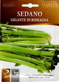 【種子】SEDANO GIGANTE DI ROMAGNA セダノ（セルリー） ギガンテ・ディ・ロマーニャ HORTUS（ホルタス社）