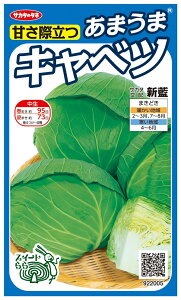 yqzÂۗ ܂ LxcuVv TJ^̃^l