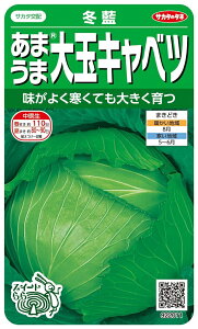 yqz~ ܂ܑʃLxc TJ^̃^l