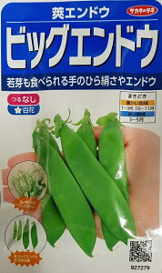 yqz䰃GhE rbOGhE TJ^̃^l