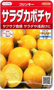 ��؎�q �T���_�J�{�`�� �R�����L�[ �T�J�^�̃^�l