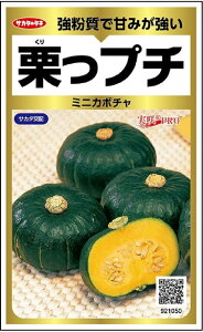 ��؎�q �~�j�J�{�`�� �I���v�` ����PRO Gold �T�J�^�̃^�l