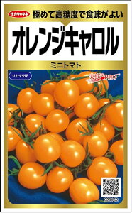 ��؎�q �~�j�g�}�g �I�����W�L������ ����PRO Gold �T�J�^�̃^�l