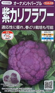 q Jt[ I[igp[v TJ^̃^l