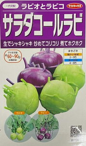 yqzT_R[r rIƃrR TJ^̃^l