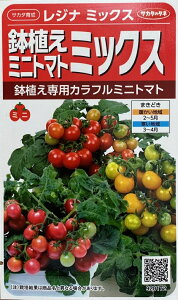 ��؎�q ���A���~�j�g�}�g ���W�i�~�b�N�X �T�J�^�̃^�l �_�ѐ��Y�ȕi��o�^ �o�^�i�햼 SAKTOM012 �C�O���o�֎~(�_�ѐ��Y��b�����L)