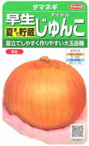 q ʂ˂  Ă܂Œ ACh TJ^̃^l