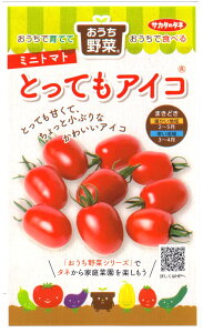 ��؎�q �~�j�g�}�g �Ƃ��Ă��A�C�R �T�J�^�̃^�l