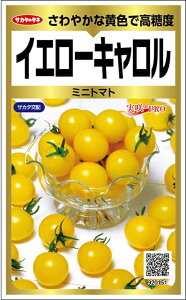 ��؎�q �~�j�g�}�g �C�G���[�L������ ����PRO Gold �T�J�^�̃^�l