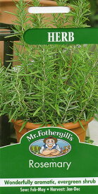 【輸入種子】Mr.Fothergill's Seeds HERB Rosemary ハーブ ローズマリー ミスター・フォザーギルズシード