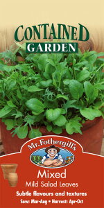 yqzMr.Fothergill's Seeds Mixed Mild Salad Leaves ~bNXE}ChET_E[uX ~X^[EtHU[MYV[h