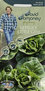 yqzMr.Fothergill's Seeds david domoney LETTUCE Little Gem fCBbhEhj[ ^X gEWF ~X^[EtHU[MYV[h