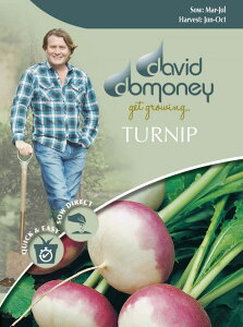 【種子】Mr.Fothergill's Seeds david domoney TURNIP Purple Top Milan デイヴィッド・ドモニー ターニップ(かぶ)パープル・トップ・ミラン ミスター・フォザーギルズシード