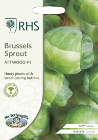 【輸入種子】Mr.Fothergill's Seeds Royal Horticultural Society Brussels Sprout ATTWOOD F1 RHS ブリュッセル・スプラウト アットウッド・F1ミスター・フォザーギルズシード