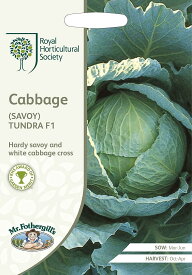 【種子】Mr.Fothergill's Seeds Royal Horticultural Society Cabbage (SAVOY) TUNDRA F1 RHS キャベツ (サヴォイ) ツンドラ F1 ミスター・フォザーギルズシード