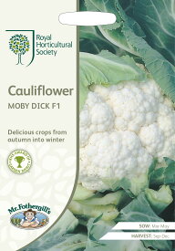 【種子】Mr.Fothergill's Seeds Royal Horticultural Society Cauliflower MOBY DICK F1 RHS カリフラワー モビー・ディック F1 ミスター・フォザーギルズシード