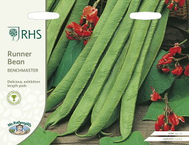 【種子】Mr.Fothergill's Seeds Royal Horticultural Society Runner Bean Benchmaster RHS ランナー・ビーン ベンチマスター ミスター・フォザーギルズシード